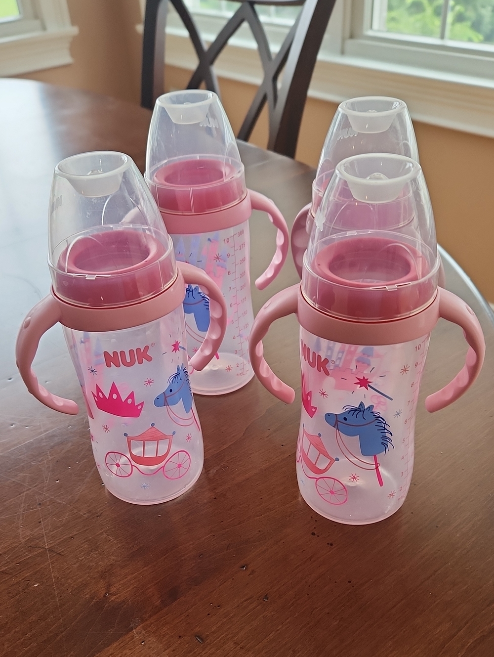 Pink Princess Toddler Training Bottle with Handles (Set of 4)